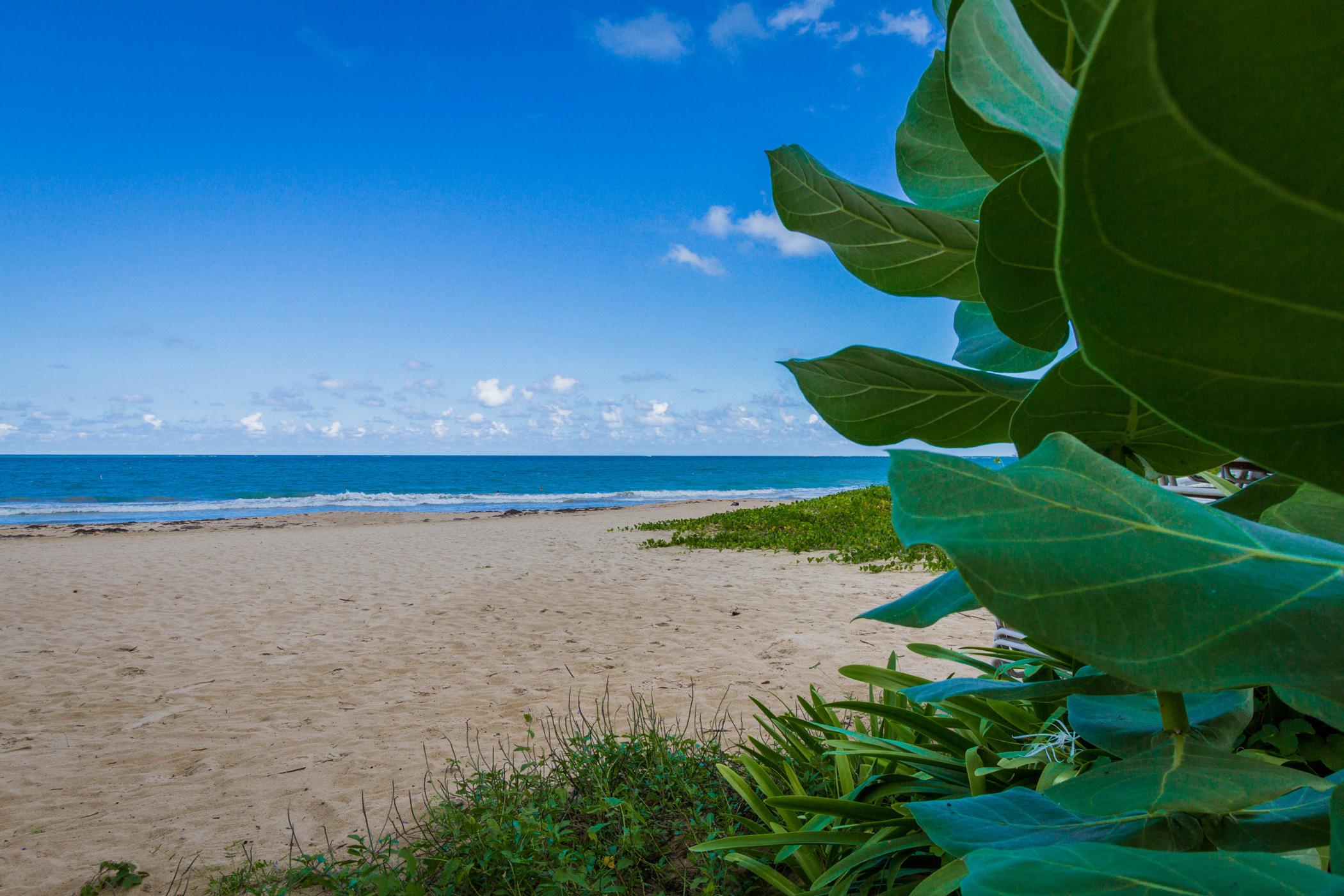 Tryp By Wyndham Isla Verde San Juan Exteriér fotografie